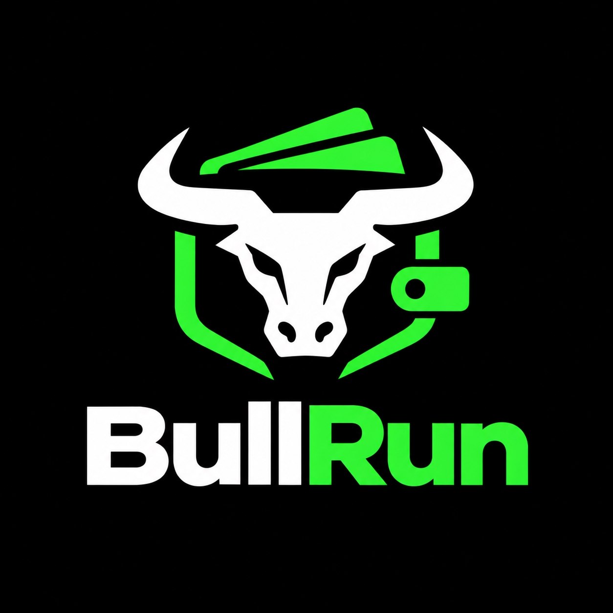 Bull Run logo
